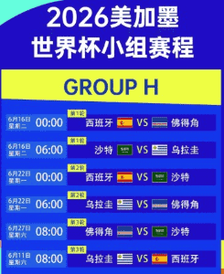 足球场全景俯瞰，绿茵如画