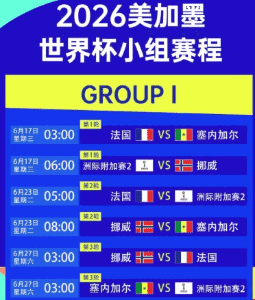 球迷庆祝进球